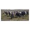 Stupell Industries Black Cows Grazing in Pasture Wall Plaque Design by Robin-Lee Viera